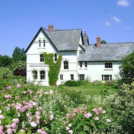 The Forest Country House B&B Newtown  Kültér fotó