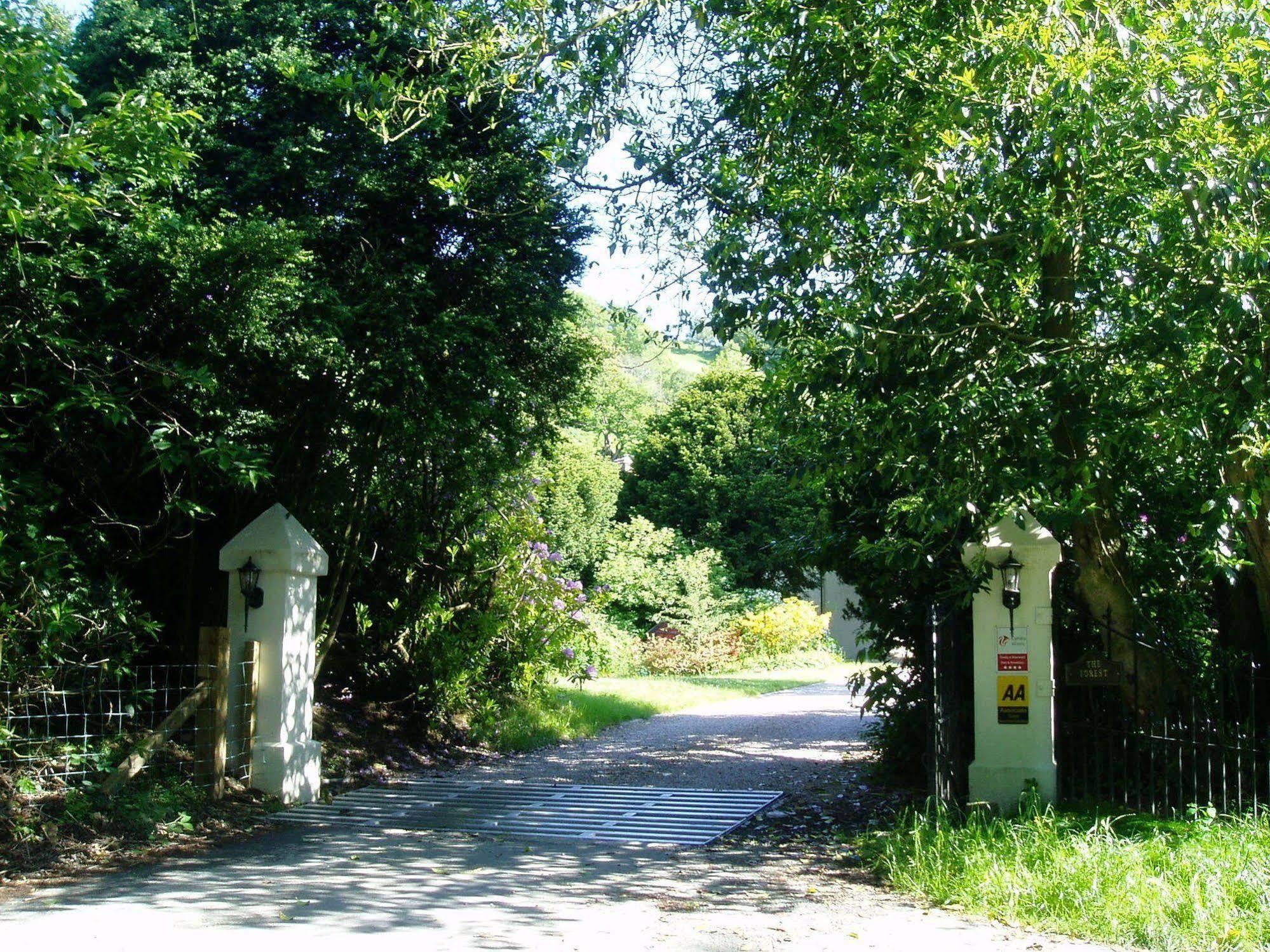The Forest Country House B&B Newtown  Kültér fotó